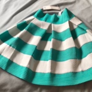 Mint & White Skirt